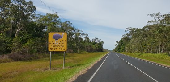 Überall Hinweise auf den Cassowary