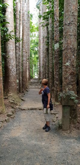 Garten im Paronella Park