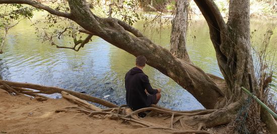 Fische und Schildkröten füttern