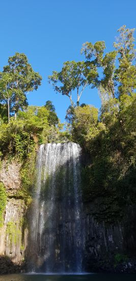 Millaa Millaa Falls