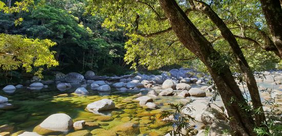 River Track Mossman