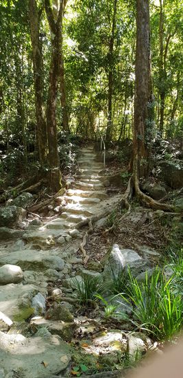 Walk zum Moosman Gorge