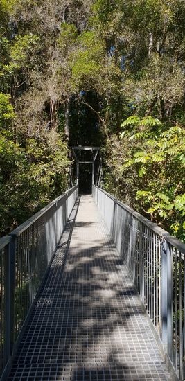 Hier geht's zum Dschungelcamp 