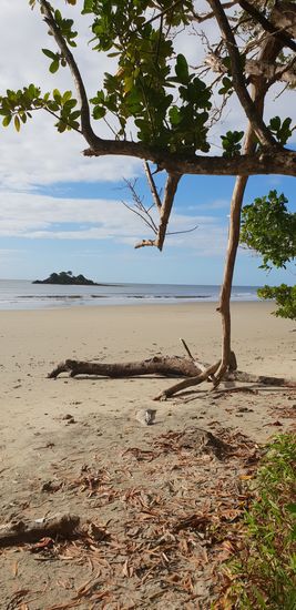 Nicht zum Baden,  Krokodilgefahr am Thornton Beach