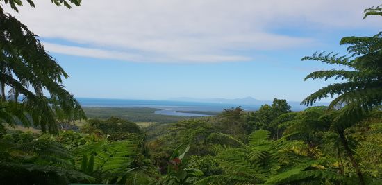 Mount Alexandra Lockout