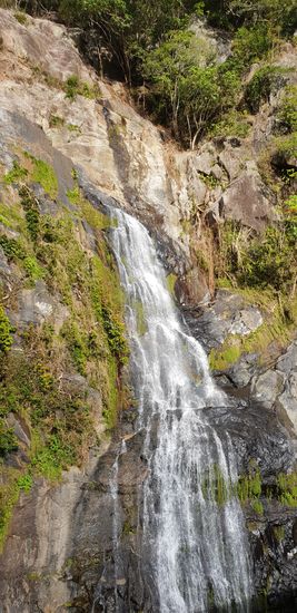 Blick aus dem Fenster