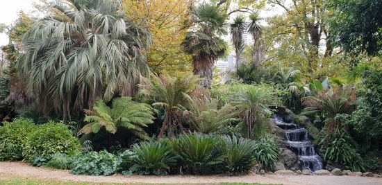 Fitzroy Gardens
