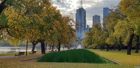 Herbstliches Melbourne