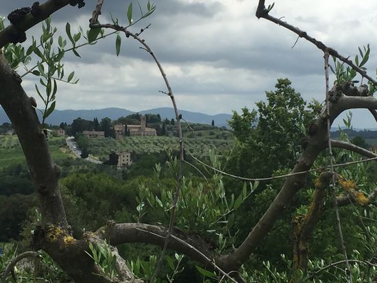 Auf dem Weg nach Volterra
