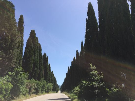 .. Zypressenallee ...