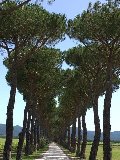 .... Impressionen ....