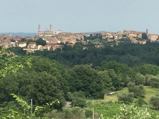 Blick auf Siena