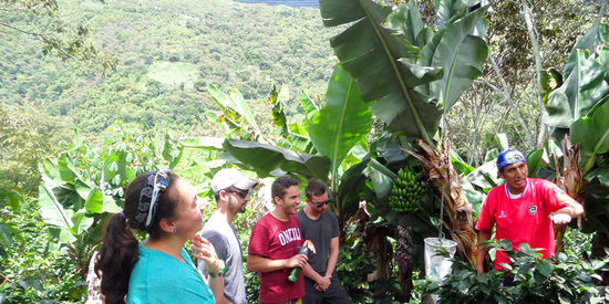 Fruechte direkt vom Baum