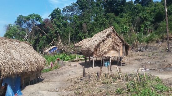 Orang Asli Haus