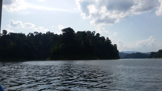 der Wald umgibt den See