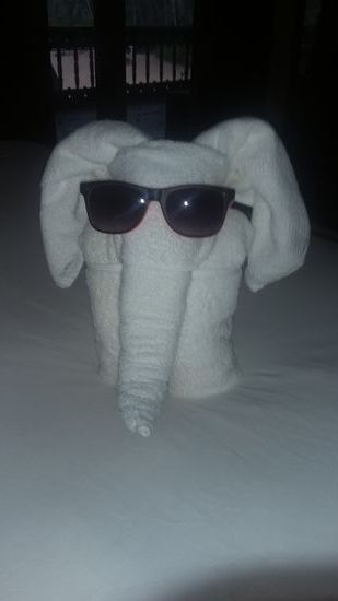 Dank des kreativen Hozelpersonals haben wir jetzt auch einen Elefanten gesehen