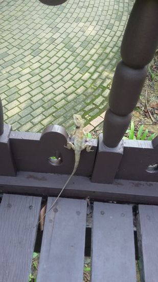 Besuch vor der Zimmertür