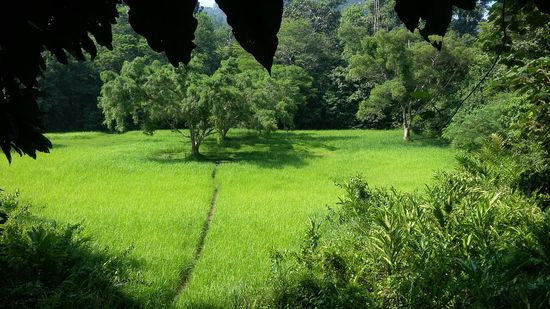 Blick aus dem Hochstand