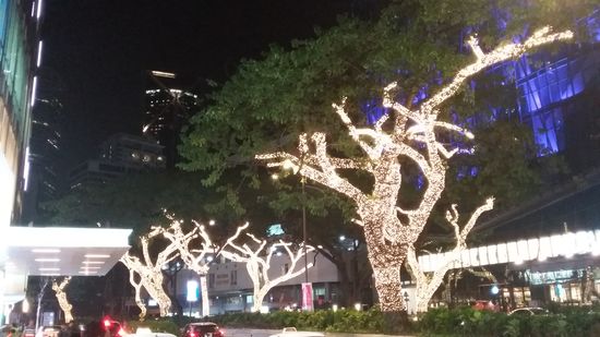 Bäume vor dem Suria Einkaufszentrum