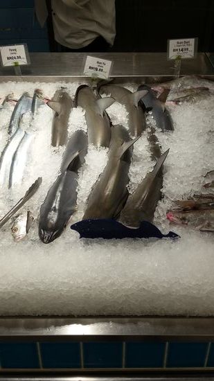 Haie in der Kühltheke im Supermarkt