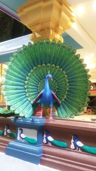 Frisch bemalter Pfau