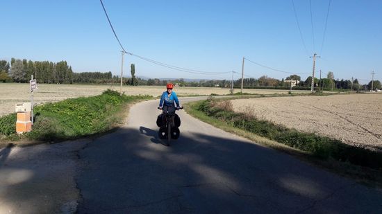 Die Landschaft wird eintöniger