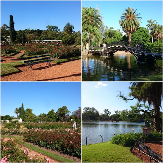 La Rosada "Palmengarten " in BA