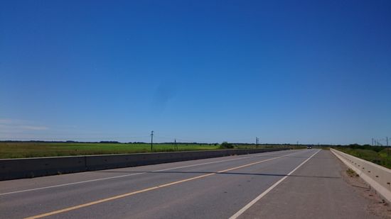 Die Landschaft wird karger