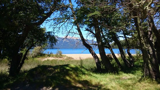 Ufer des Lago Traful