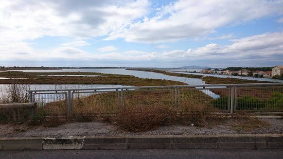 Wie ein Schweizer Käse