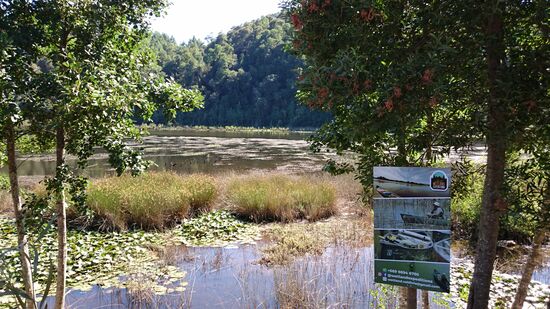Santuario de la naturaleza
