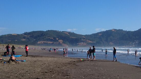 Pazifikstrand vor Mehuin