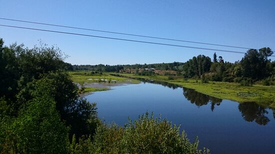 Noch herrscht das Grün vor