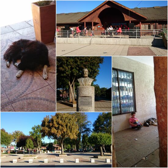 Teodoro Schmidt hat die Eisenbahn in den Ort gebracht. Dafür wurde der Ort nach ihm benannt. Heute gibt es keine Eisenbahn mehr in Teodoro Schmidt.
Konzert zum Valentinstag und schlafende Hunde