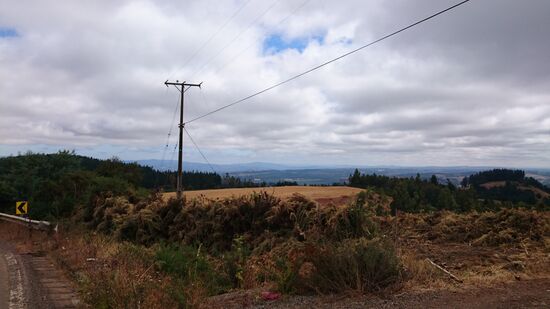 Hügeliges Gelände und bewölkter Himmel
