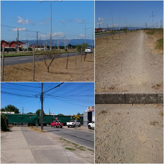 Versuch mit dem Fahrrad einen  Ausflug an  die Pazifikküste zu machen. Über die Regenabflüsse muss ich das Rad heben. Gedankenverloren die Gegend anschauend mache ich einige Notbremsungen, um nicht mit dem Vorderrad in der Rinne zu landen.