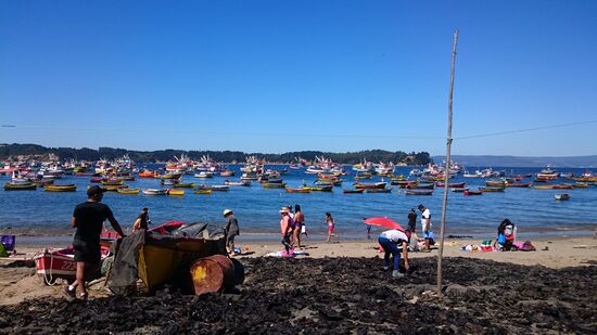 Bucht an der Pazifikküste mit Sonntagsausflüglern