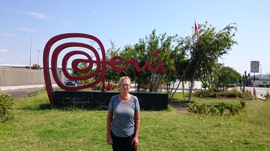 Chilenisch-peruanische Grenze