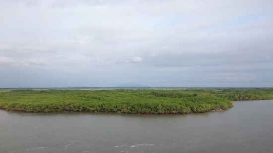 Der Hafen liegt im grünen Flussdelta