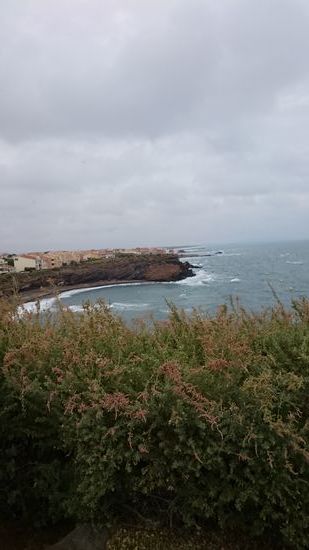 Blick auf die Küste