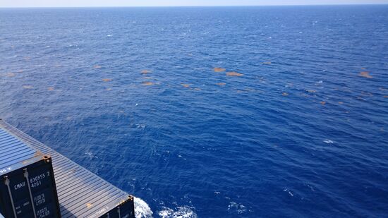 Zwischen Japan und Südkorea ist das Meer stark befahren. Braune Flecken oder Streifen schwimmen auf dem Meer.