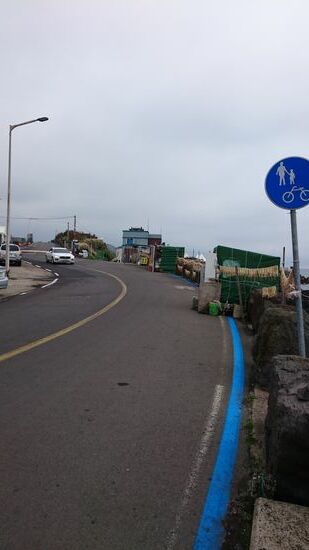 Die blaue Linie bezeichnet den Radweg und führt einmal um die Insel