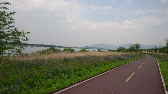 Tagelang fahre ich am Flussufer entlang