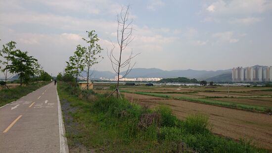 Vor Daegu häufen sich die Siedlungen. Immer wieder tauchen Wohntürme am Horizont auf