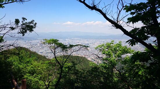 Blick auf Daegu