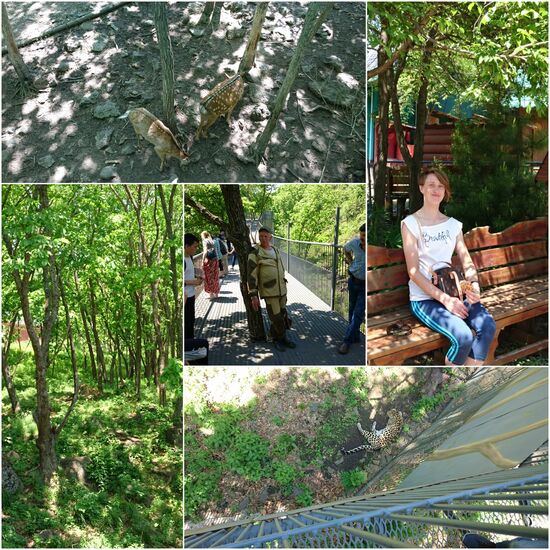 Und im Safaripark, bei dem es sich eher um einen Tierpark mit großen Gehegen handelt,  gibt es sogar noch echte Tiger und Leoparden