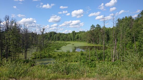 Immer wieder Ausblick auf Moorlandschaften