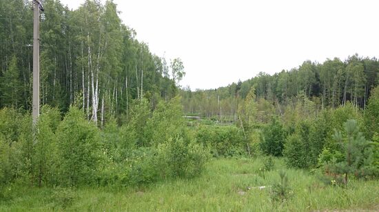 Im Naturschutzgebiet