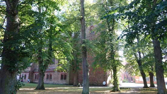 Für solche Plätze liebe ich den Norden  - Rehna zwischen Wismar und Ratzeburg