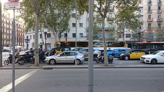 Auf dem Weg zur Sprachschule